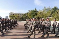 军训综艺爆料视频大全集,揭秘军营生活点滴