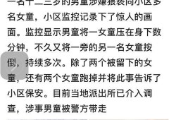 网友爆料大厂事件视频播放,网友热议背后的真相与反思