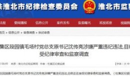 大皖新闻爆料平台,大皖新闻爆料平台揭露最新社会热点事件