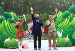 最近60天新闻爆料视频,热点事件追踪与深度解析
