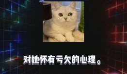 娱乐圈的八卦爆料吃瓜,揭秘明星背后的惊人真相！