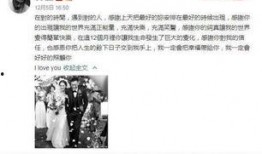 娱乐公司吃瓜事件真相揭秘,真相背后隐藏的秘密