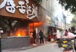 各大餐厅爆料视频合集下载,美食背后的故事与真相