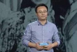 王振宇爆料完整版视频播放,独家爆料背后的真相与内幕
