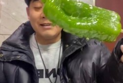 宿州吃瓜网红事件视频,一场网络舆论的风暴与反思