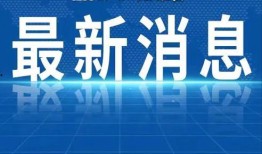臻鑫资产最新爆料新闻,揭秘投资内幕，揭示行业真相