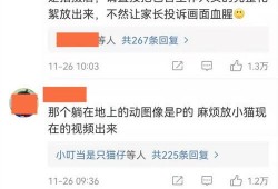 圈内群演爆料违法吗,爆料违法现象引关注