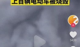 重大新闻事件爆料视频播放,视频爆料背后的真相全解析