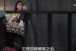 大斌姐姐爆料视频在线看,揭秘幕后真相，带你走进事件核心
