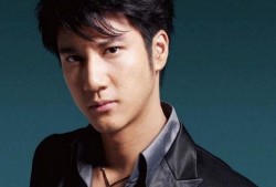 吃瓜网红王力宏简介视频,吃瓜网红背后的音乐传奇