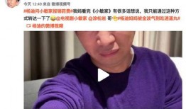 三号家庭的妈妈爆料视频,揭秘家庭背后的惊人真相