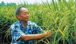 网友爆料袁隆平视频大全,一生耕耘，造福亿万苍生